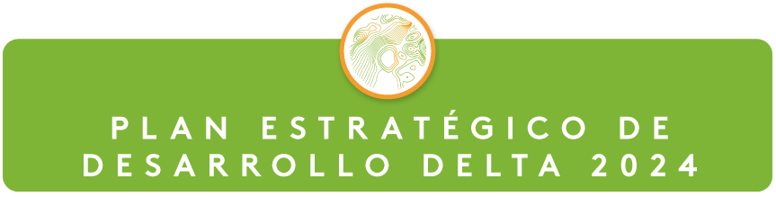 Plan Estratégico de Desarrollo Delta 2024