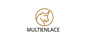 Logo MultiEnlace