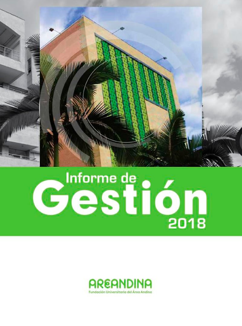 Informe de gestión 2018