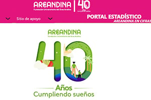 Portal Estadístico Areandina en Cifras