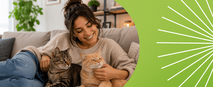codigo civil 2026 familias multiespecies