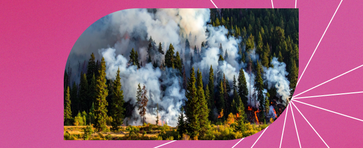 efectos del cambio climatico en colombia efectos del cambio climatico en colombia