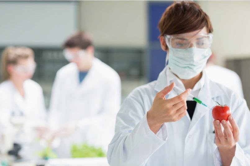 jóvenes investigadores
