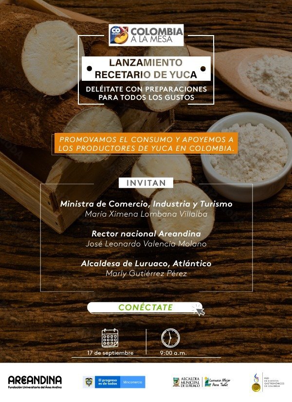 RECETARIO YUCA