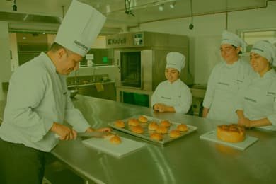 profesional