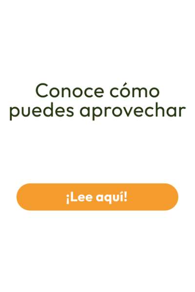 banner home Chat GPT - cta
