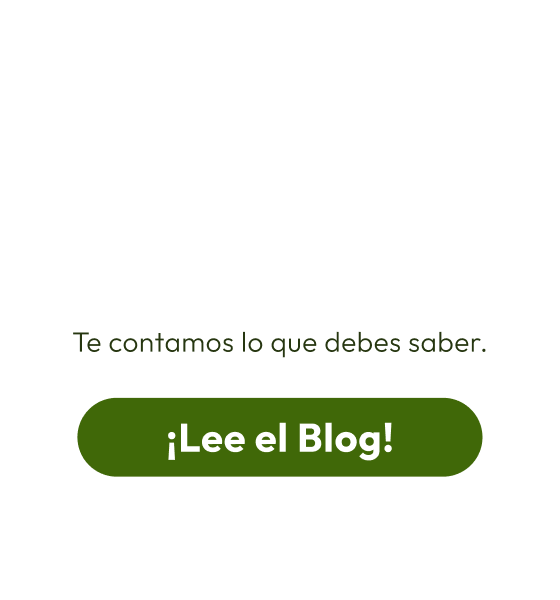 Salario mínimo en Colombia 2025 - cta