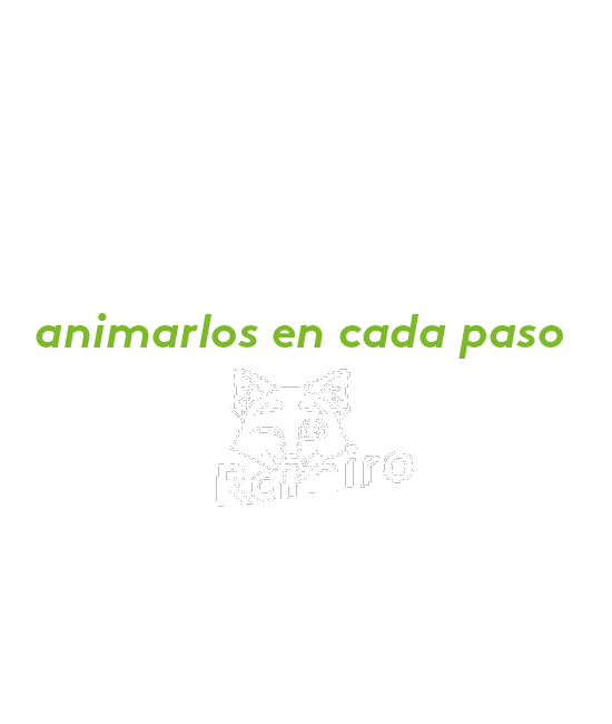 Saludo de regreso a clases - RAMIRO -txt