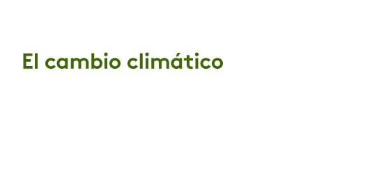 ¿Cómo ha afectado el cambio climático a Colombia?