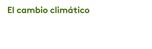 ¿Cómo ha afectado el cambio climático a Colombia?
