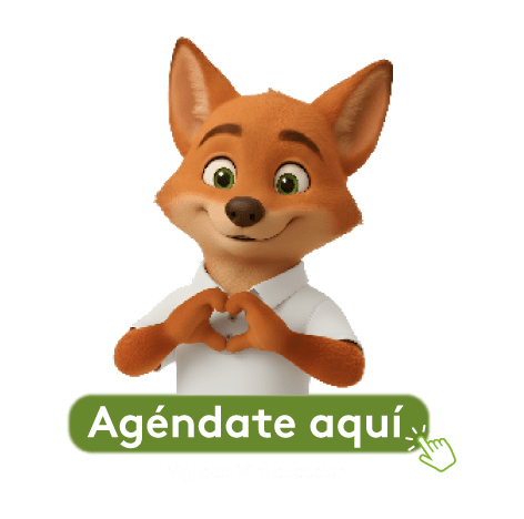 img-2-inducciones-2026-1