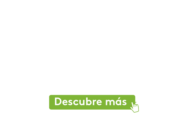 img_web_nota_ingenieria-2