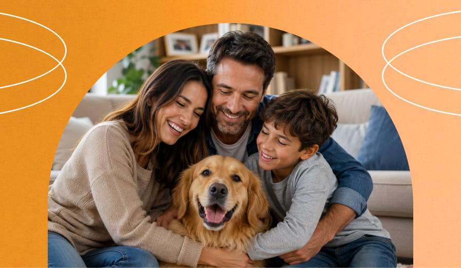 las mascotas son parte de la familia legal reforma al codigo civil 2026