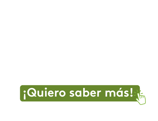 Texto informativo Ingeniería Geológica