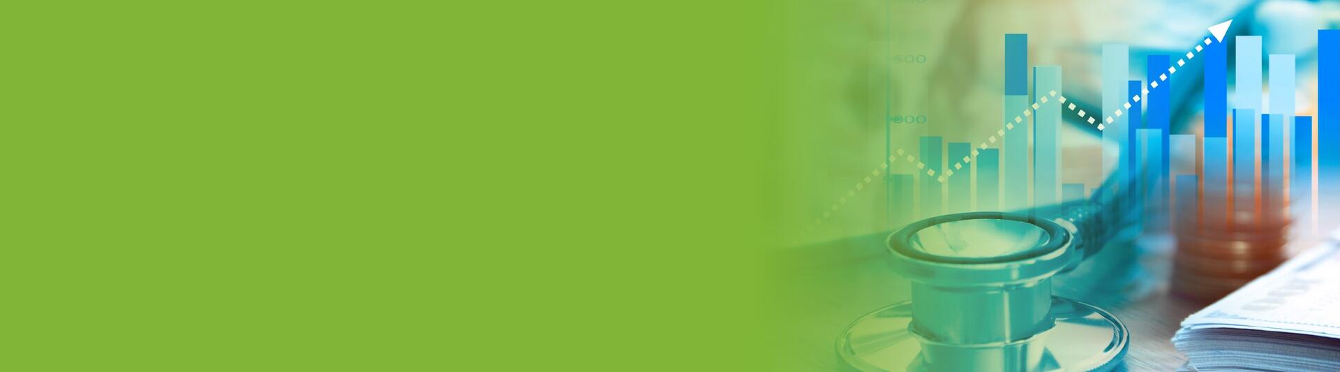 ESPECIALIZACION EN AUDITORIA EN EN SALUD