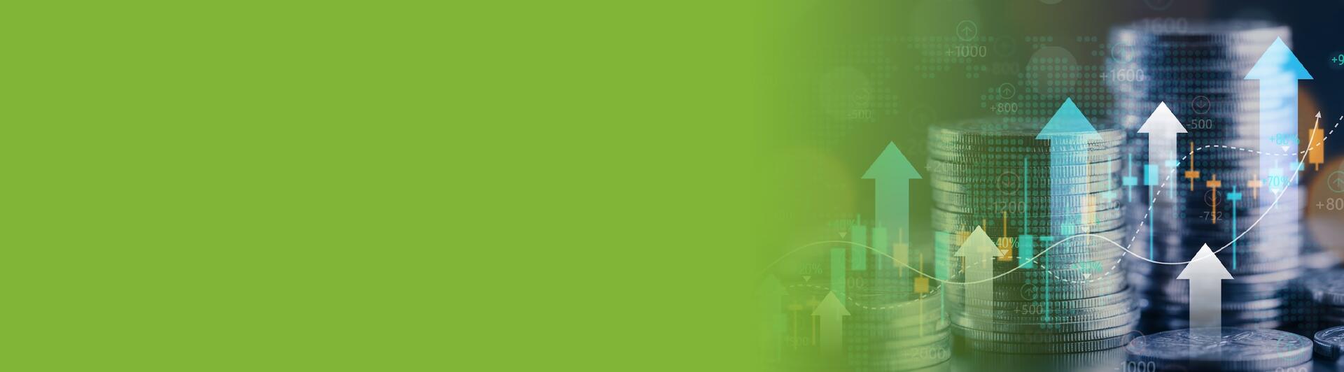 Especialización en Gerencia Financiera - Virtual