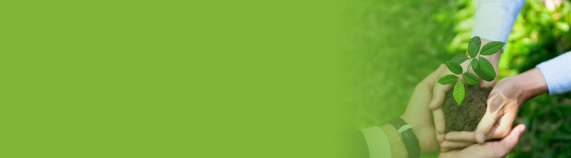 Especialización en Gestión Ambiental - Virtual