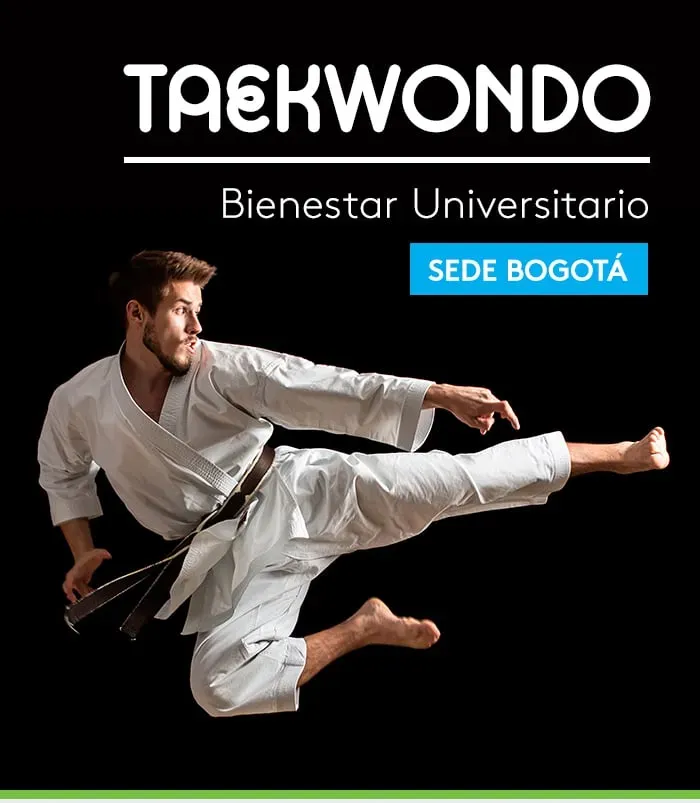 taekwondo
