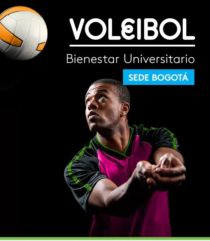 voleibol