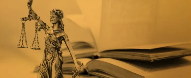 Especializacion en Derechos de Autor Especializacion en Derechos de Autor