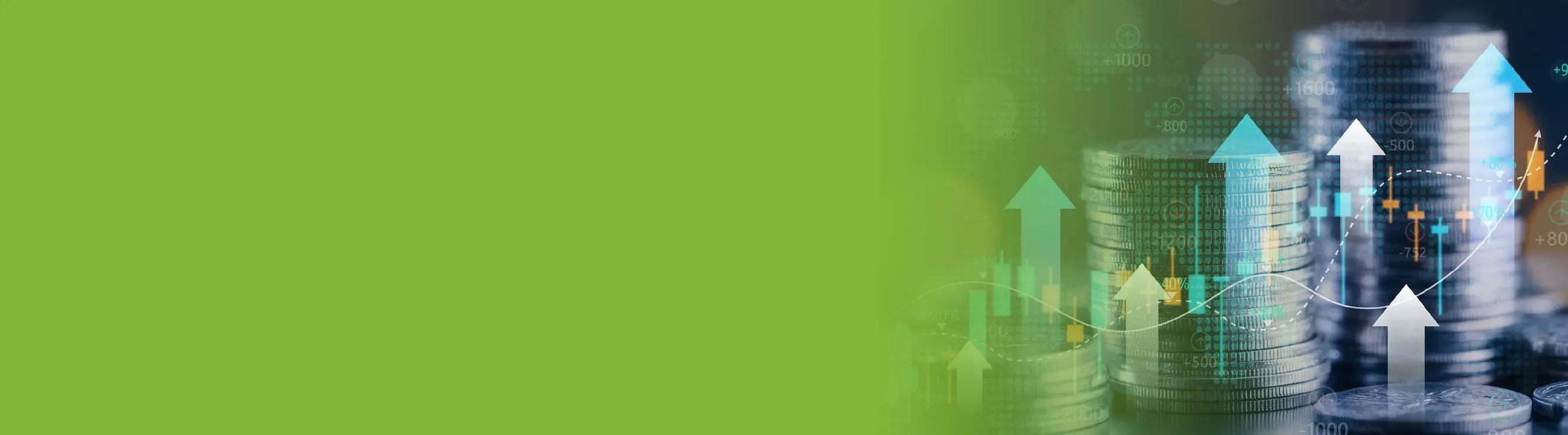 especializacion en gerencia financiera virtual banner